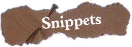 Snippets logo
